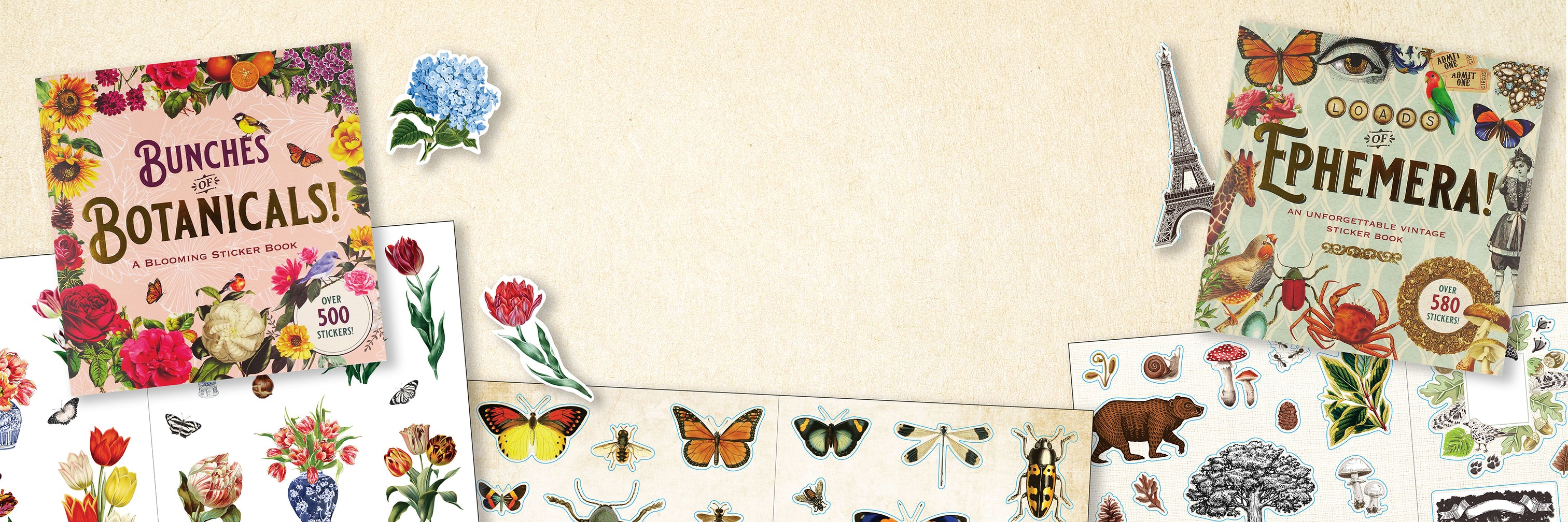 Welcome to Our Store